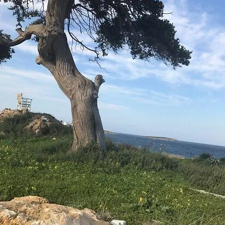 Διαμέρισμα Anatoli *